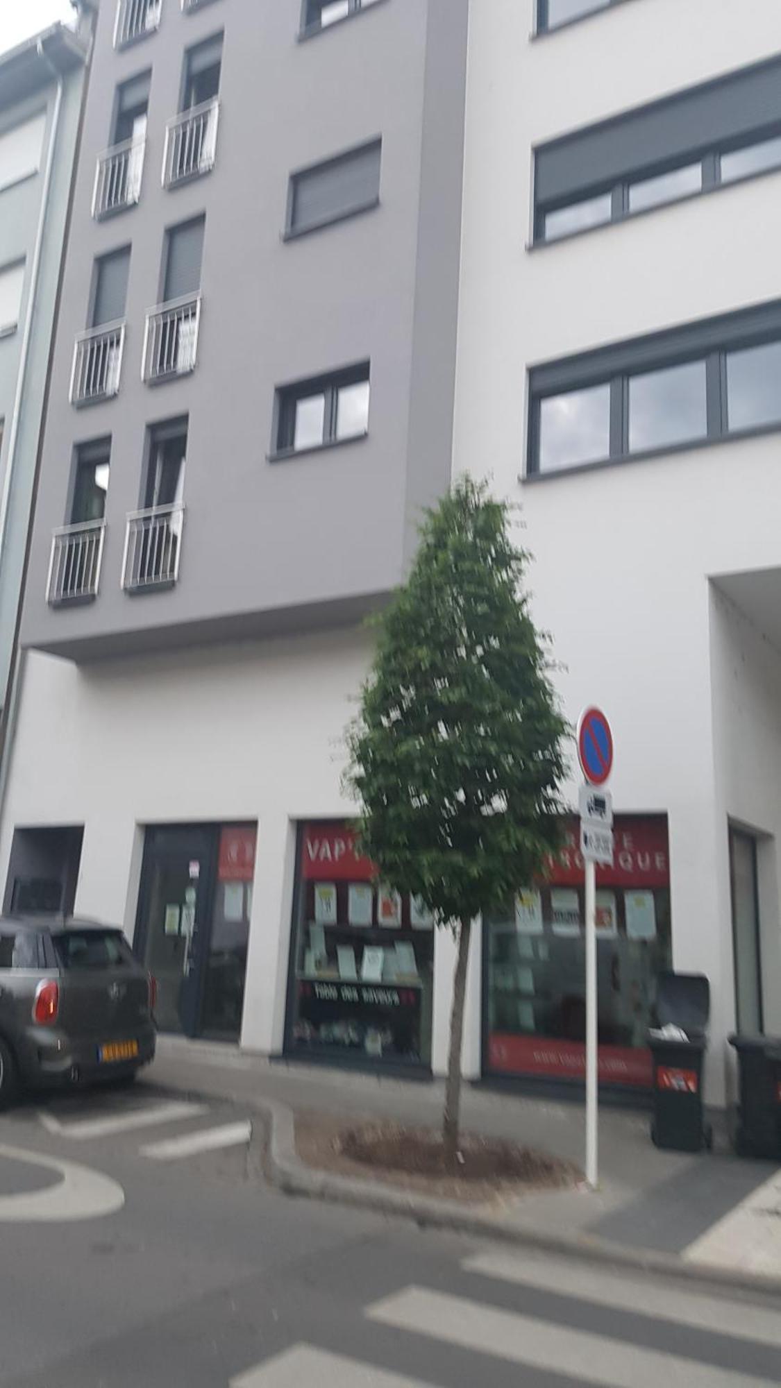 Guest house Elegant Spacious Room, Steps From Train Station *