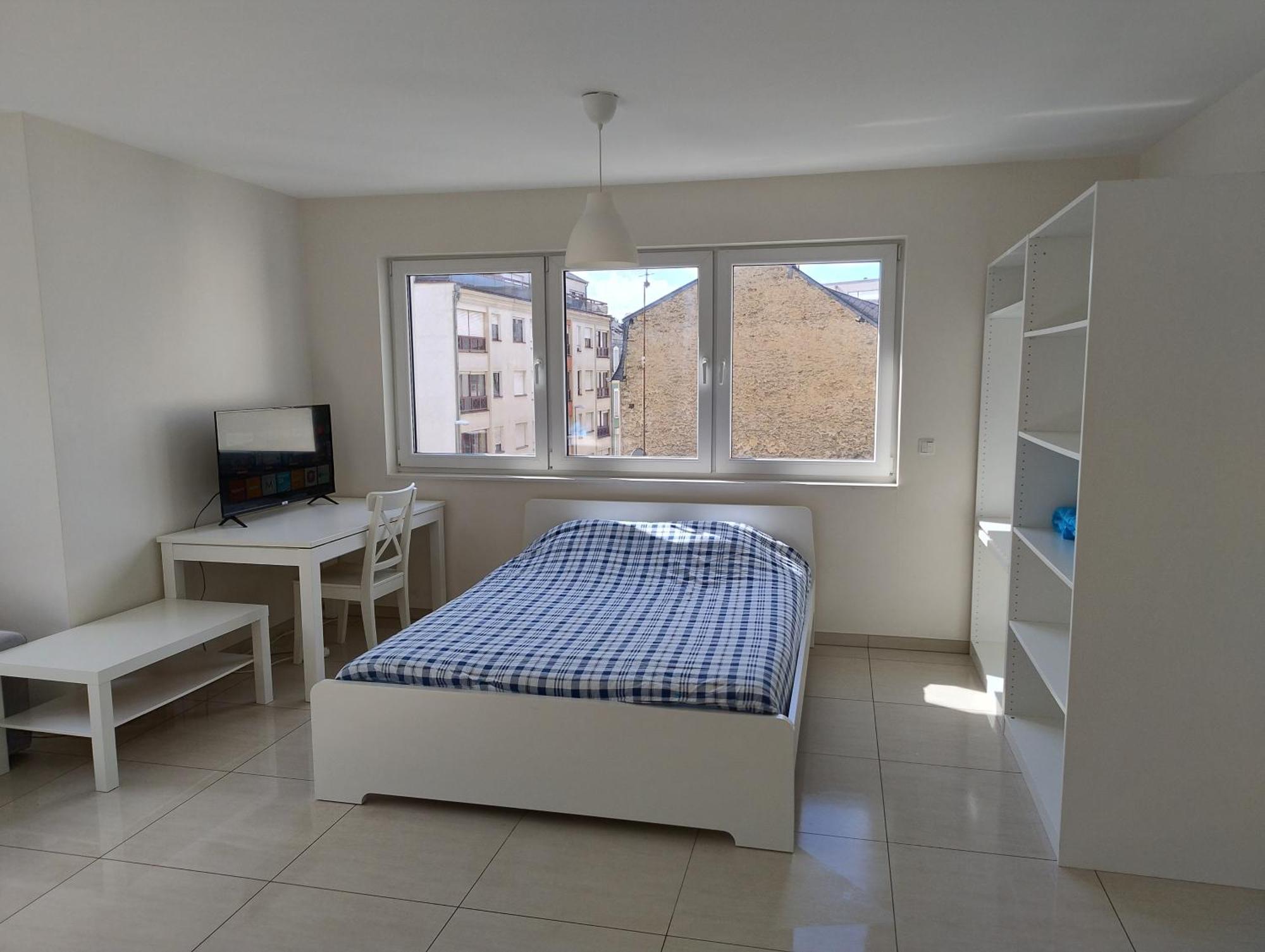 Elegant Spacious Room, Steps From Train Station Guest house Luxembourg