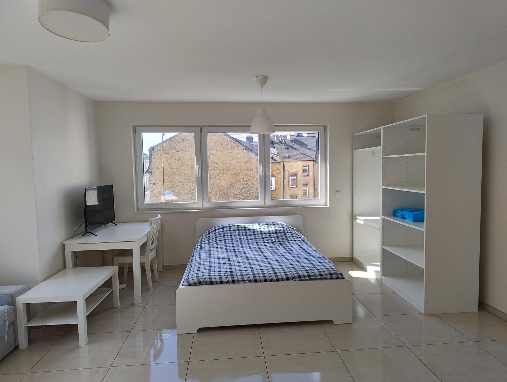 Elegant Spacious Room, Steps From Train Station Guest house Luxembourg